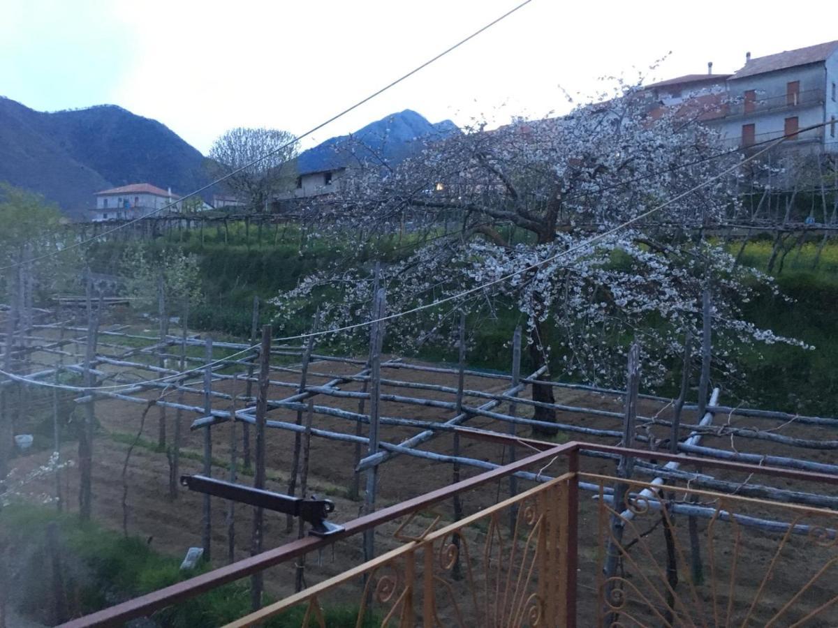 Dafne Holiday Agerola Exterior foto